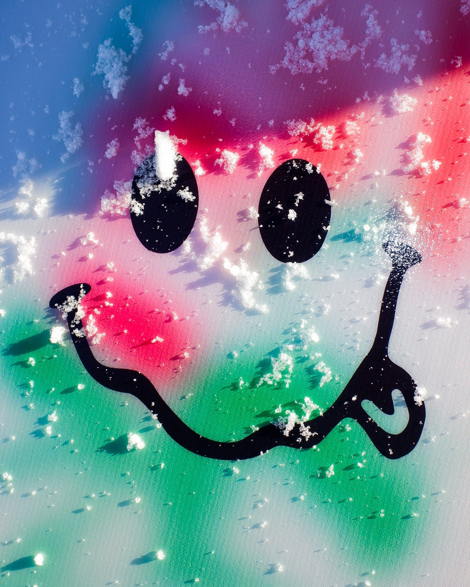 Bataleon Evil Twin Men's Snowboard 2025/2026 – Bataleon US