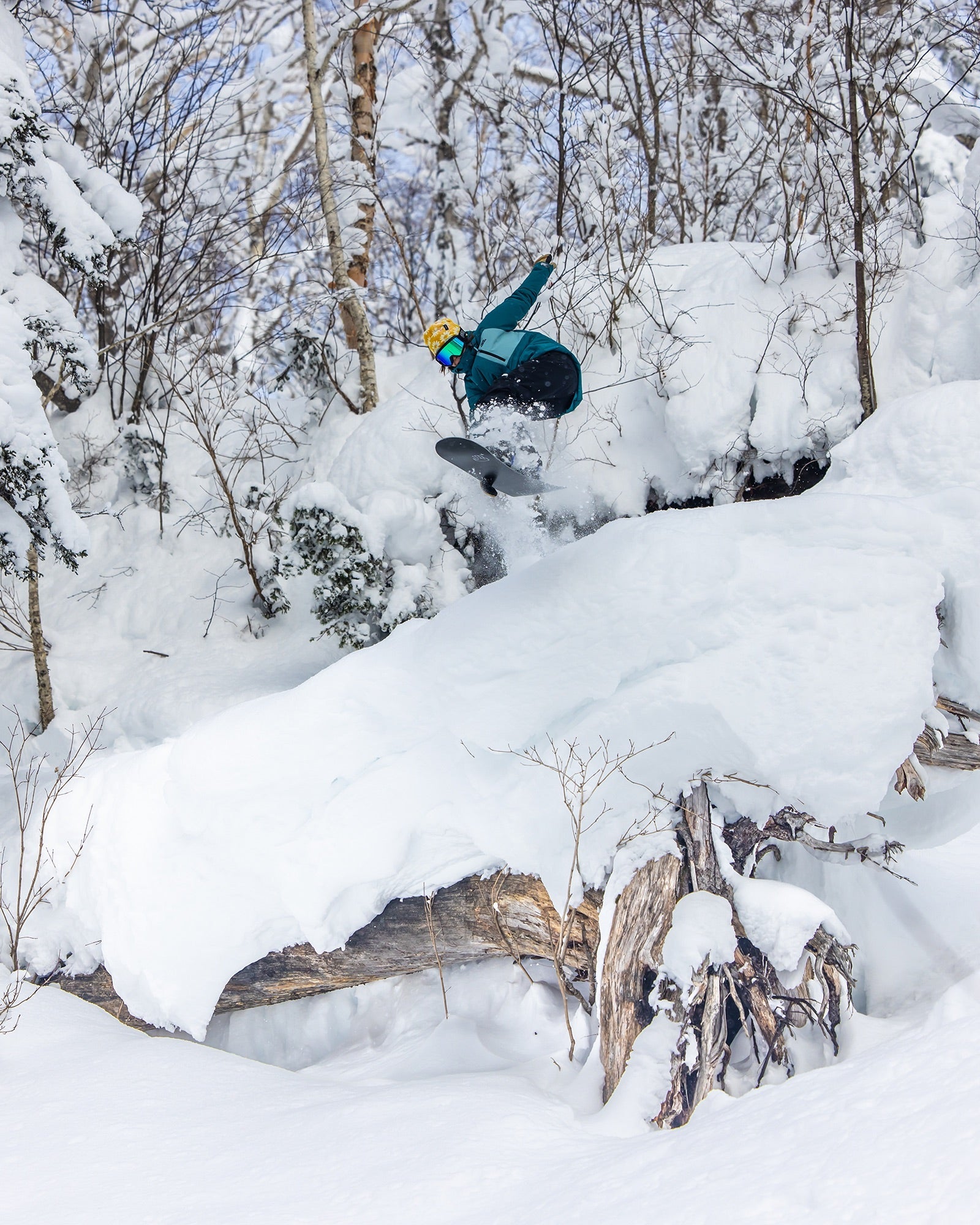 Bataleon Push Up+ Women's Snowboard 2025/2026 – Bataleon US