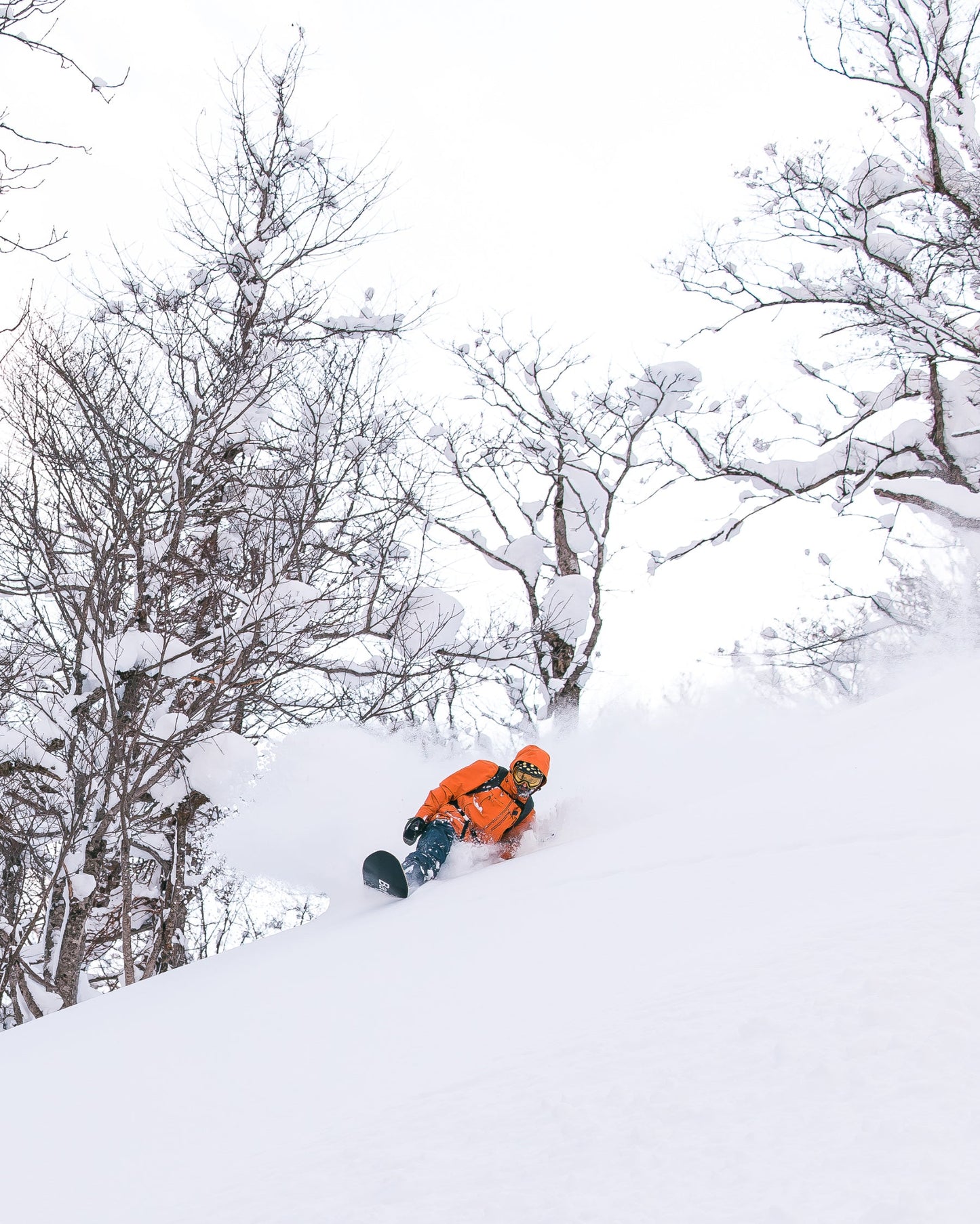 Men's snowboard in multicolor. Surfer 2025 | Bataleon Snowboards™ 2025.